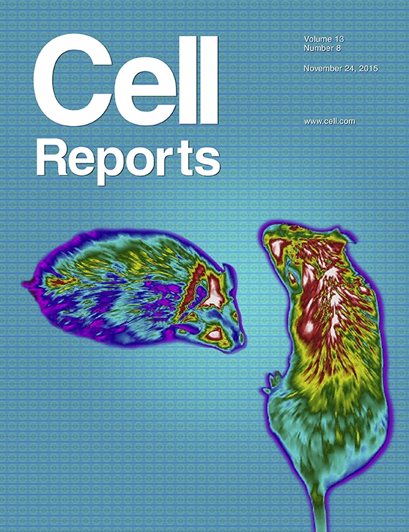 On the cover: Kwon et al. use infrared thermal imaging to measure body surface temperature near interscapular BAT during a glucose meal in vehicle and FGF21-treated mice. Images depict body surface heat distribution of mice during such meal. The study reveals that there is a decrease in BAT temperature during glucose excursions and that FGF21 improves glucose clearance while preventing the fall in BAT temperature.