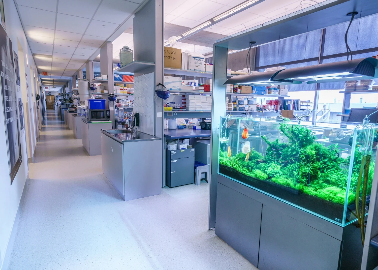 20160830_115444_19.0 mm_067.jpg