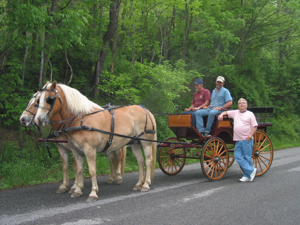 horsesnboys.jpg
