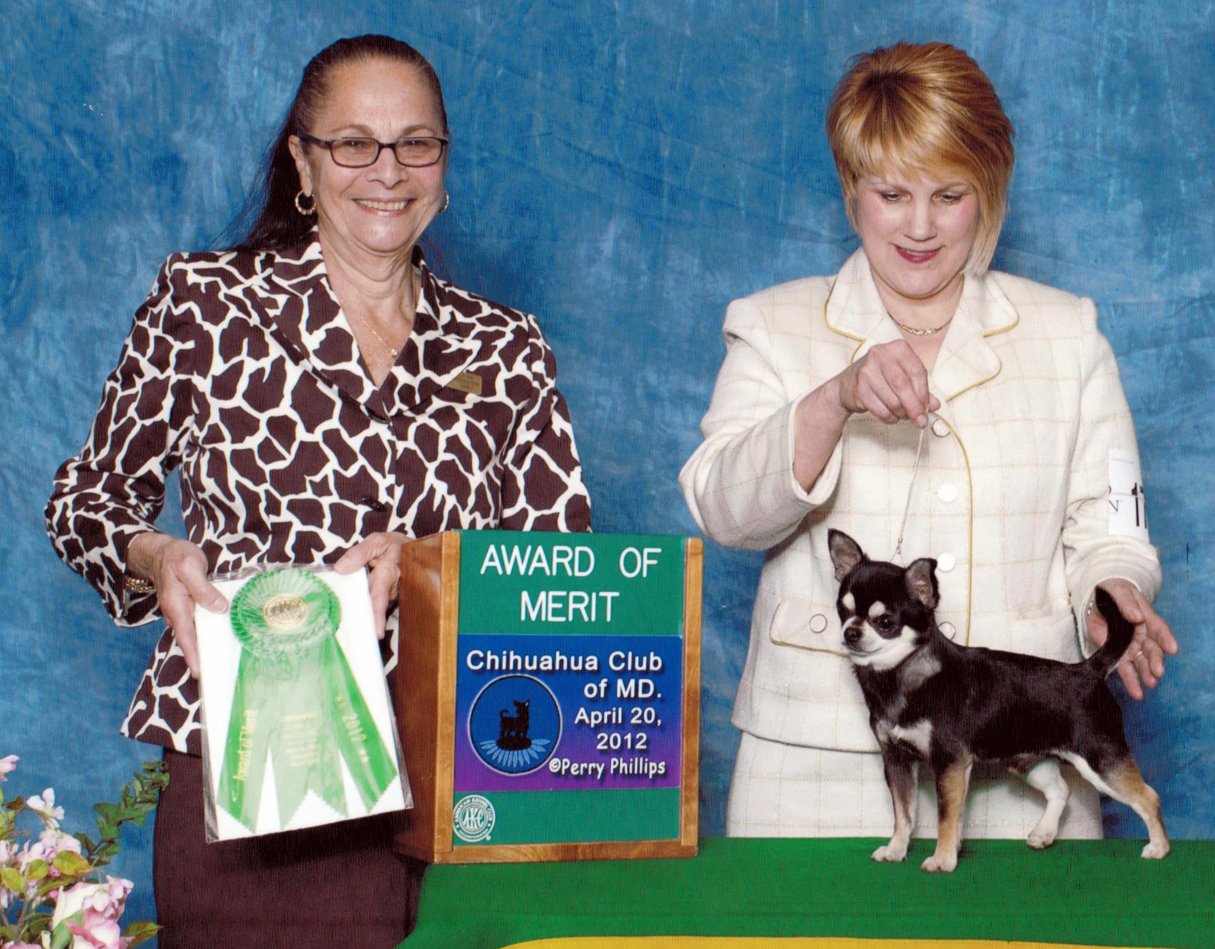 Congratulations to Cooper and Kim! They reeled in an Award of Merit at the CCMD Specialty Show, 4/20/12, under Judge Mrs. Joan Goldstein.