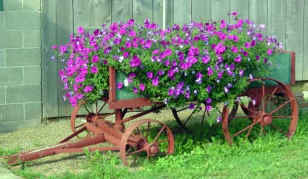 posiewagon.jpg