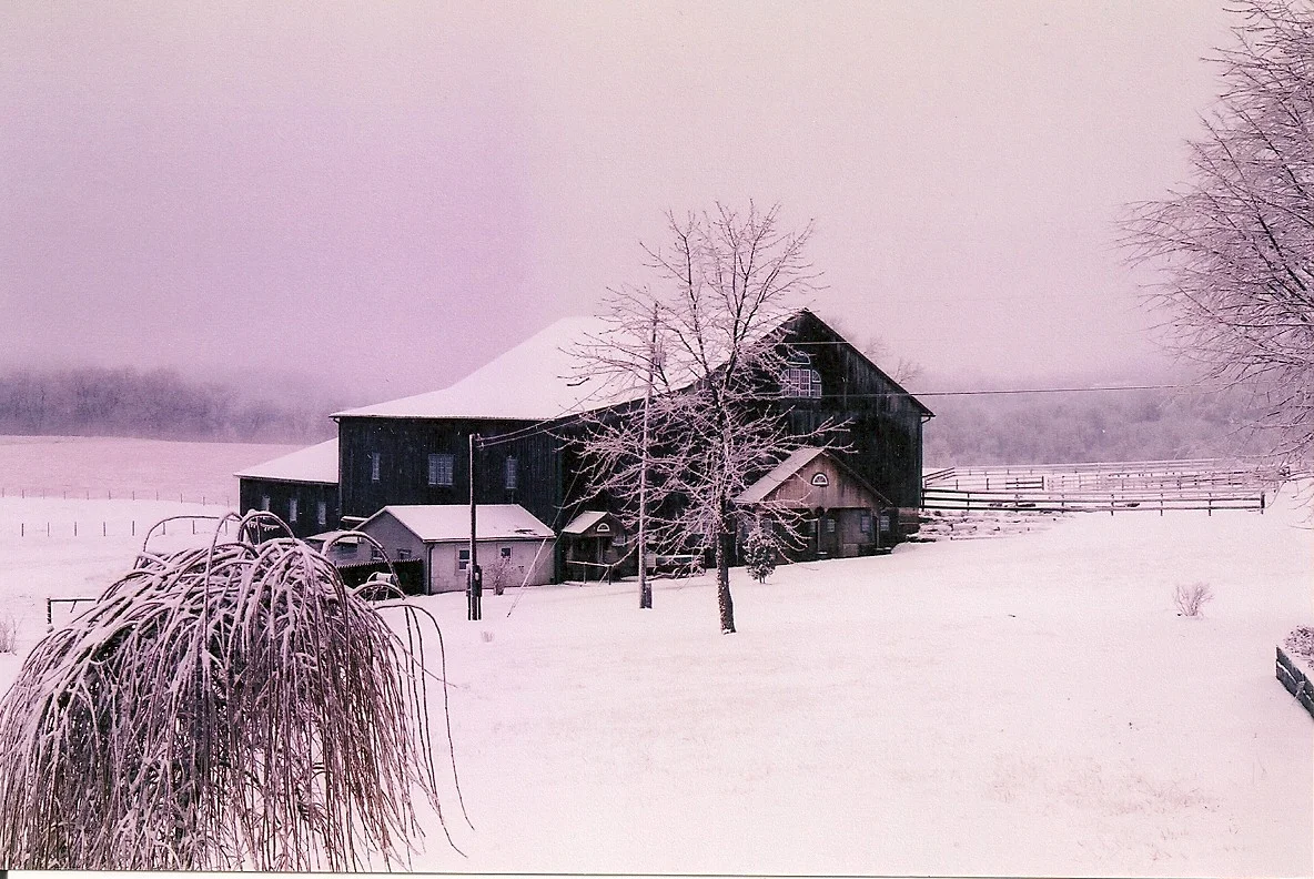 barnwinter0001.jpg