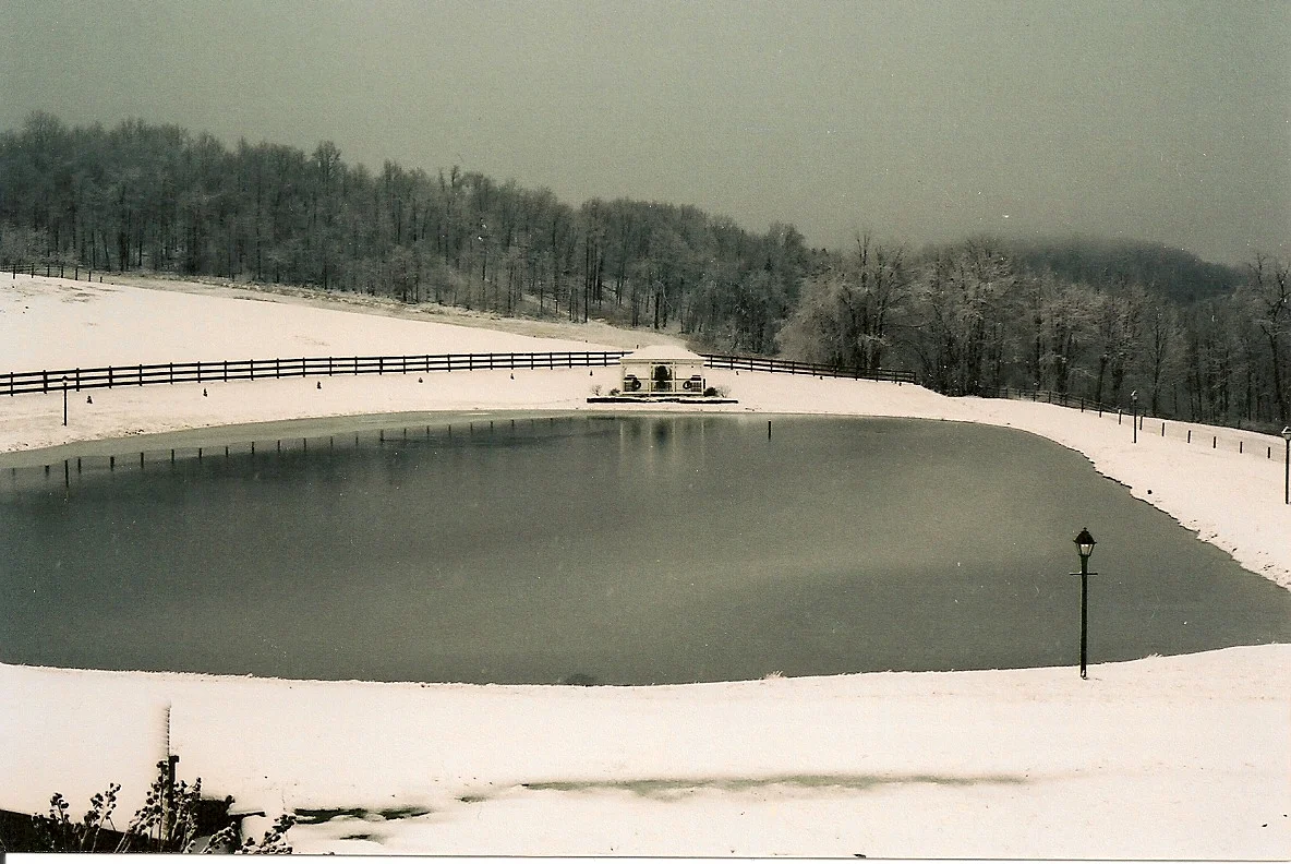 pond0001.jpg
