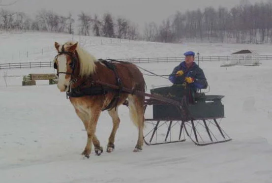 sleigh1.jpg