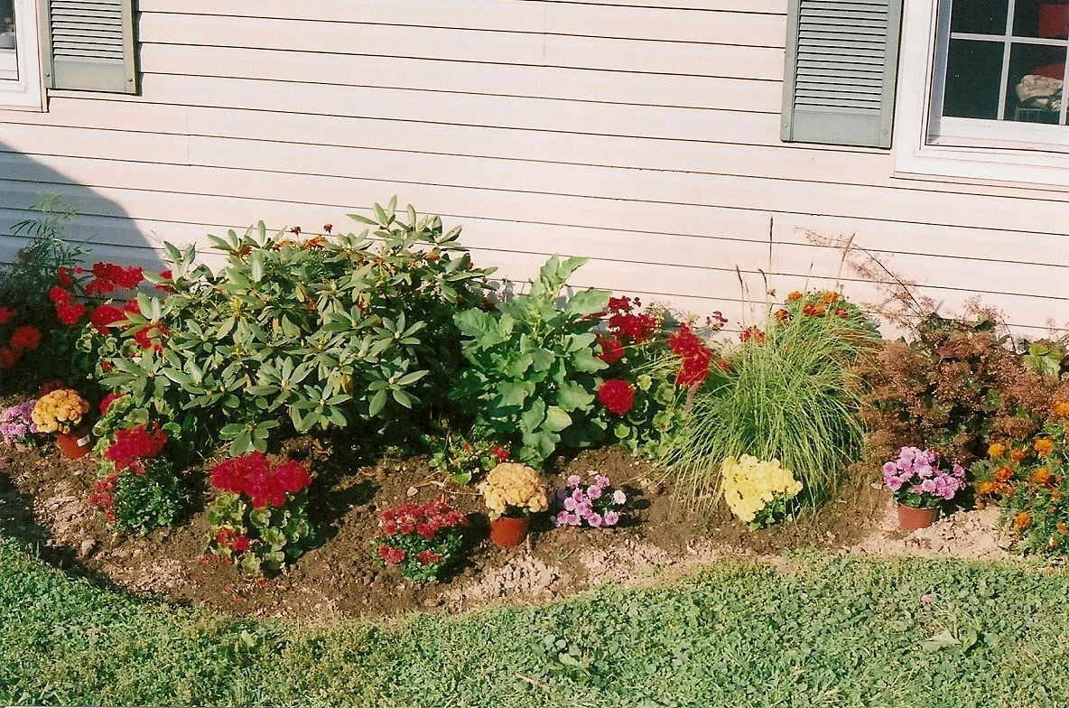 bellposies0001.jpg