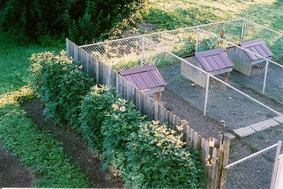 housekennel0001.jpg