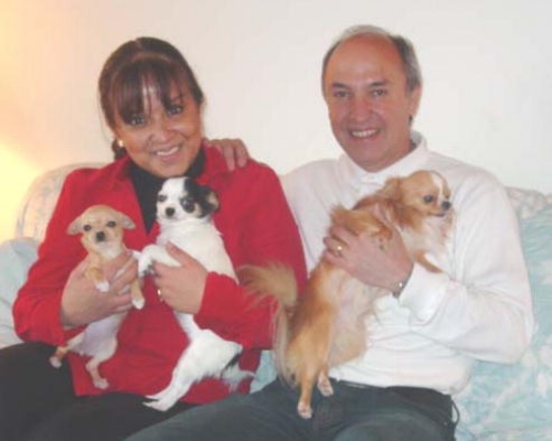 Leticia & Rogelio Herrera Echauri Mexico City, Mexico Congratulations and thank you to Leticia and Rogelio for visiting Hallmark Farm/Kennel and purchasing 2 lovely show quality Chihuahuas, one long coat and one smooth coat. The Chihuahuas will be competing in shows in Costa Rica, Guatemala and of course in Mexico and in the United States. Thank you again for giving these opportunities to Hallmark Farm/Kennel Chihuahuas. We enjoyed sharing the Hallmark Farm experience with you folks and now look forward to our continued friendship.
