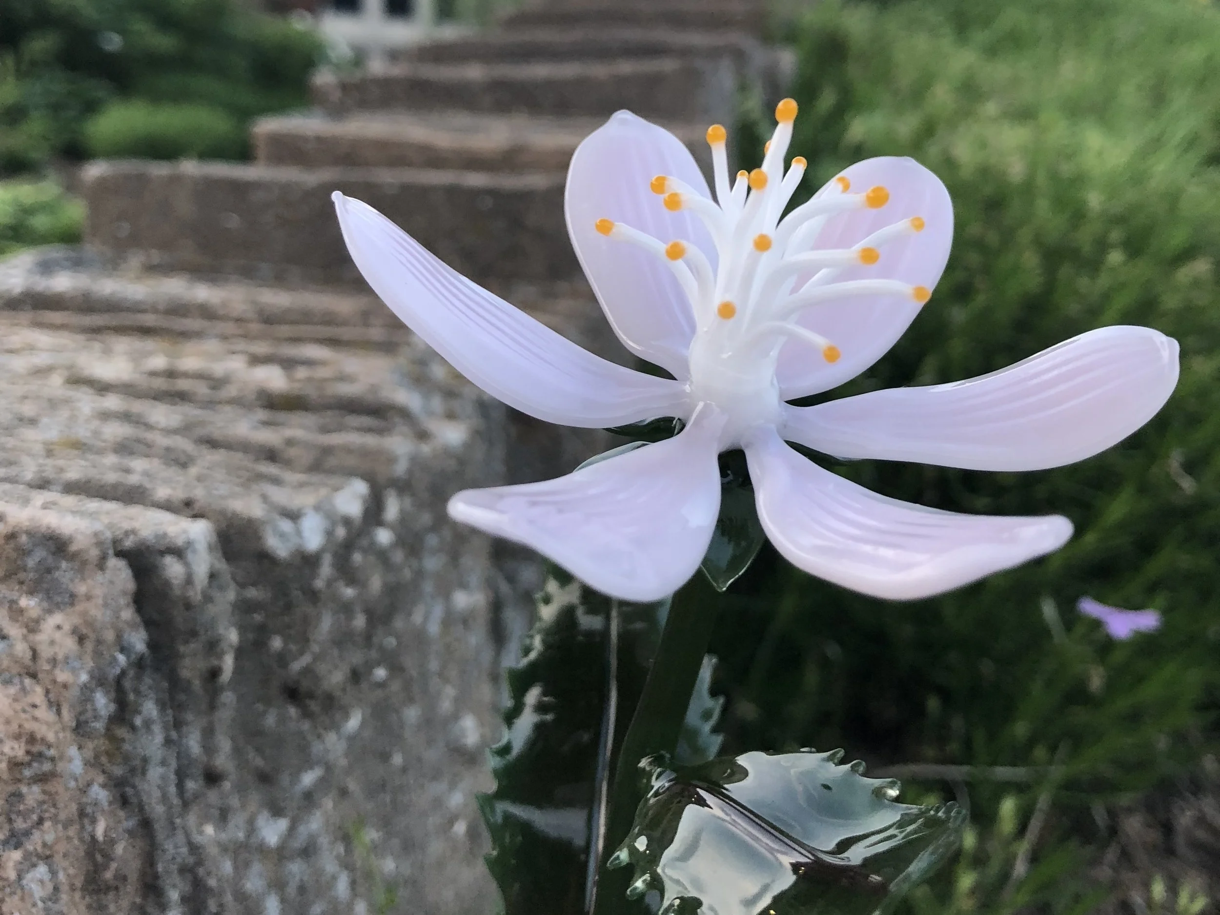 glass flower.jpg