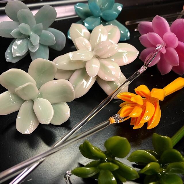 Tiny succulents waiting for assembly...
#outofoxygen
#closedonmonday
😭
#glasssucculents #succulents #glassflowers #botanicalart #flameworking #torchworking #girlswhoblowglass #teamcarlisle