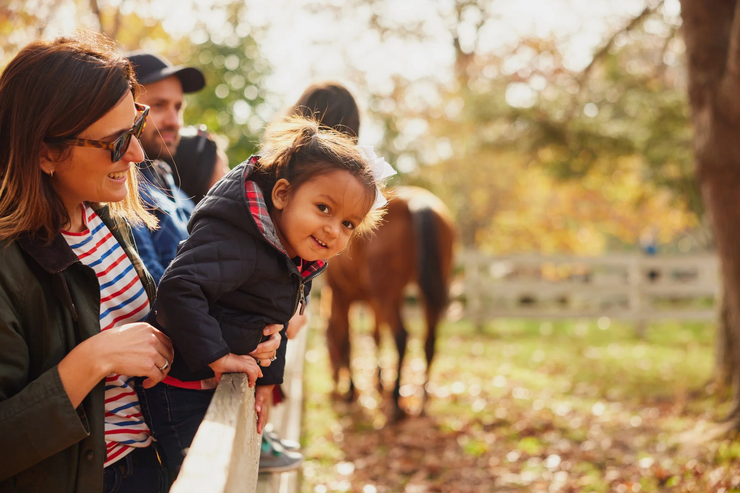 essex-heritage-horse-family-tourism.jpg