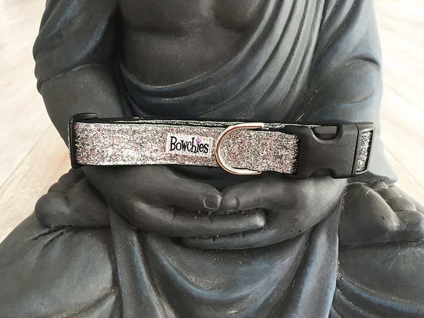 silver_collar.jpg