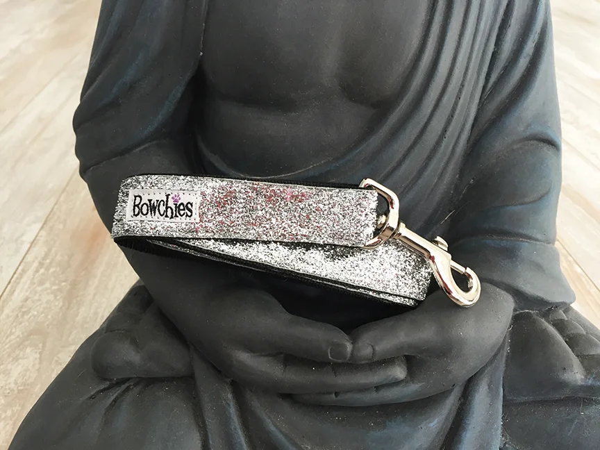 silver_leash.jpg
