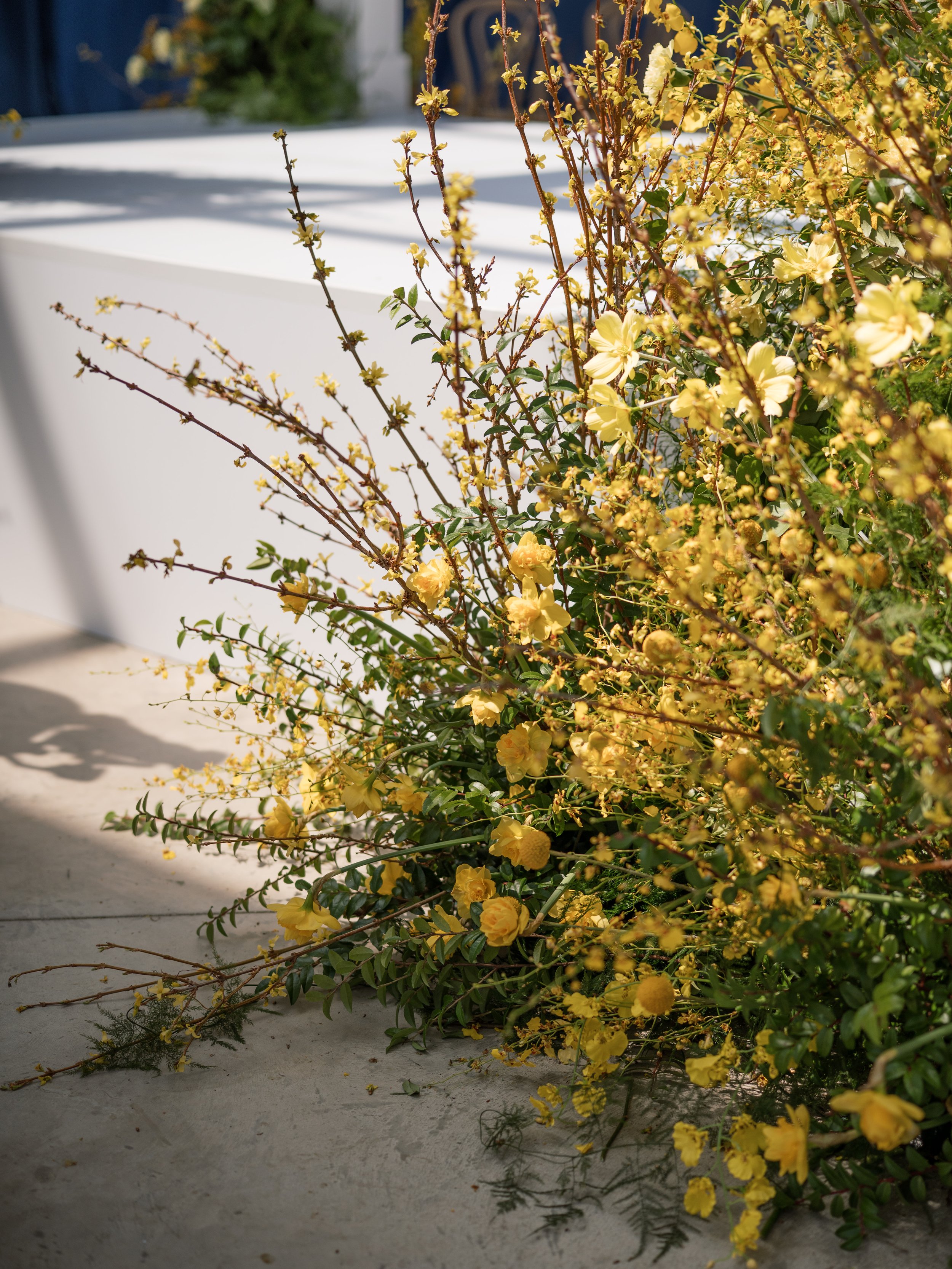 2026 Jenny Shipley Wedding Photographer TCC Details-70.jpg