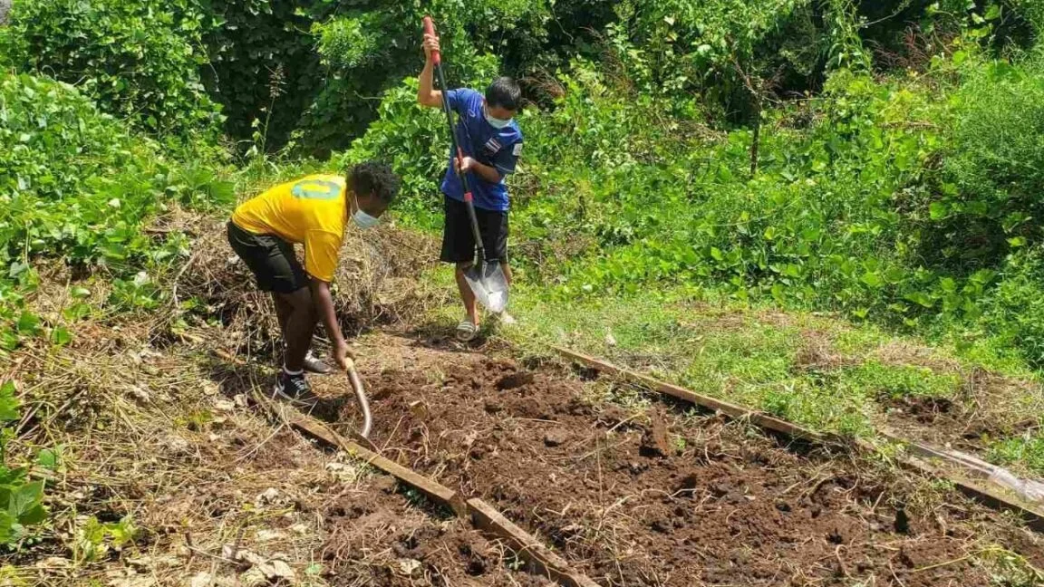 Youth Players working in garden