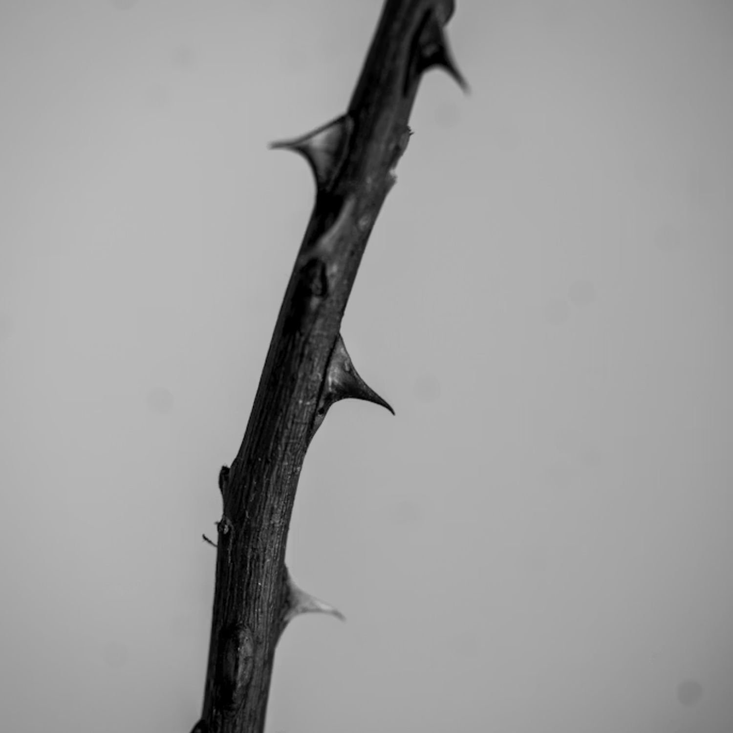 Power in Weakness™ Mar. 2026 LIVESTREAM