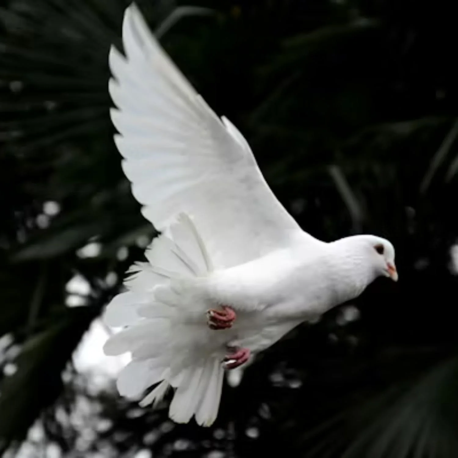 Ministering in the Power of the Spirit™ Mar. 2026 LIVESTREAM