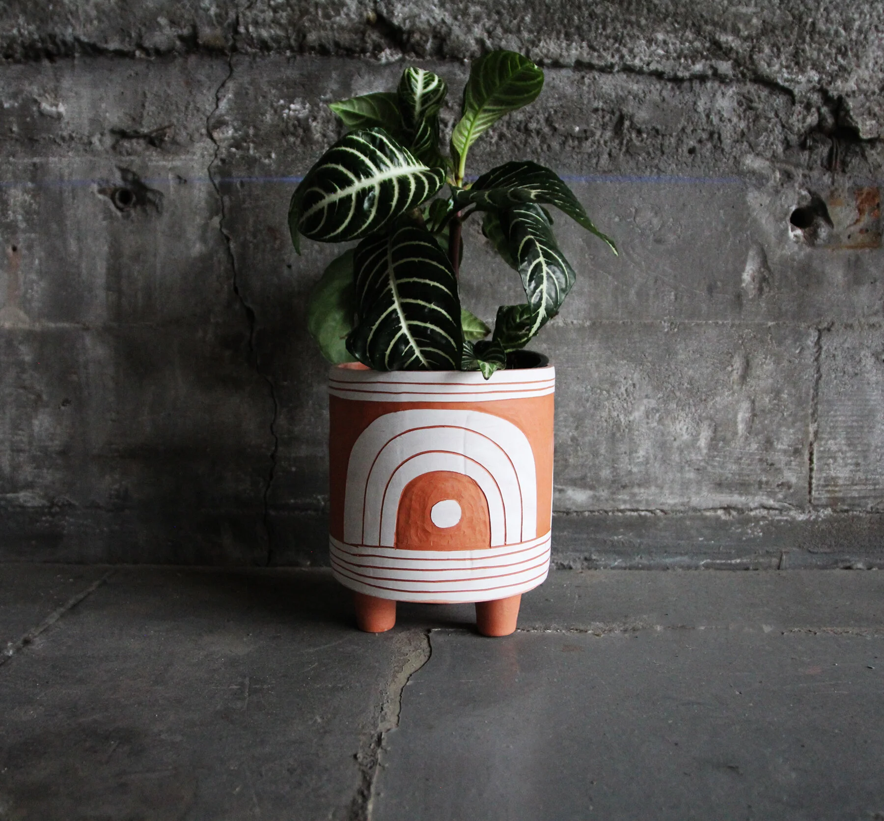 red tripod with plant.jpg