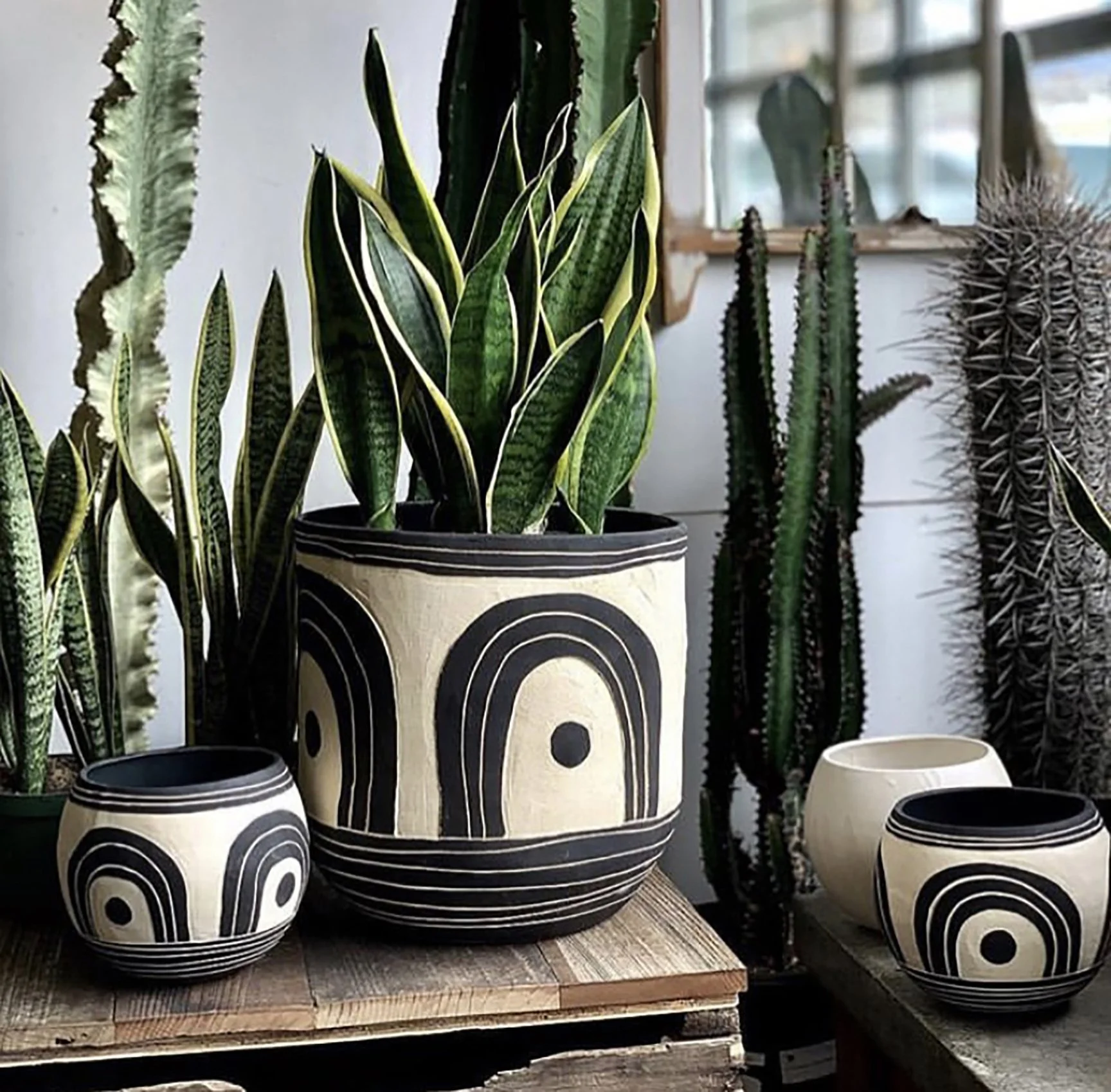 KRIARA_Carved Planters SWG.jpg