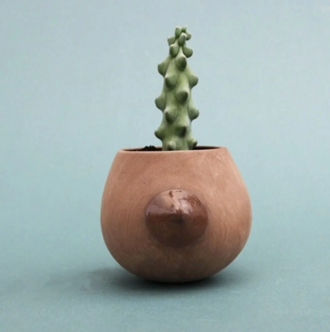 BROWN NIP PLANTER.jpg