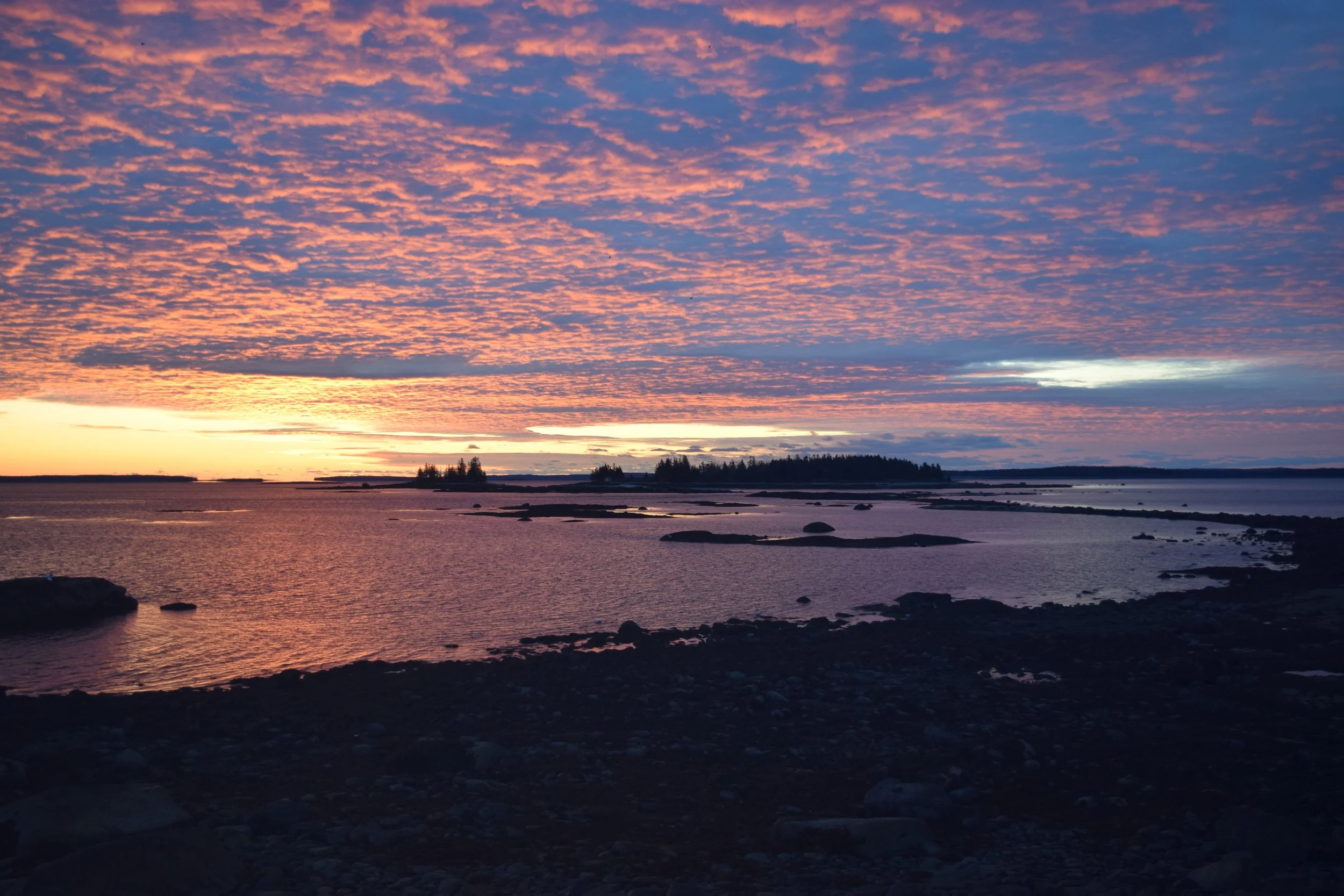 DSC_0596.JPG