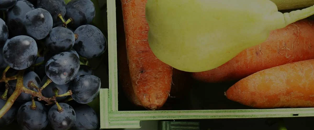 Savor-Health-Services.jpg