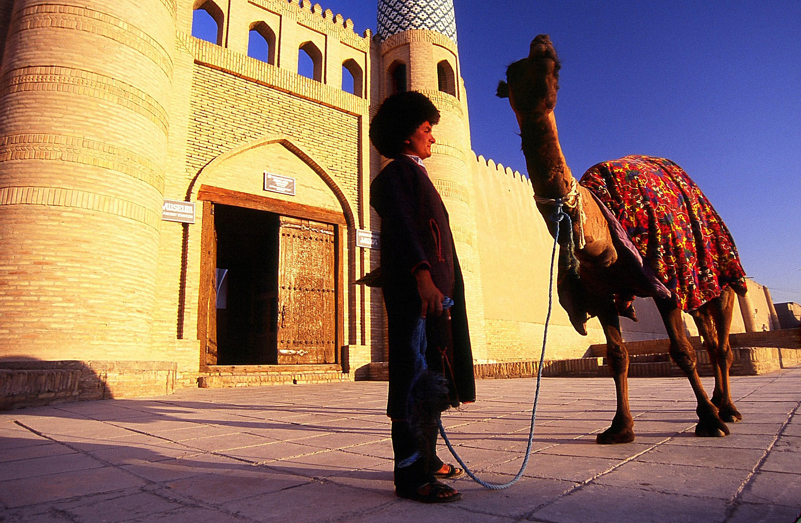 Camel at the gate - Khiva, Uzbekistan