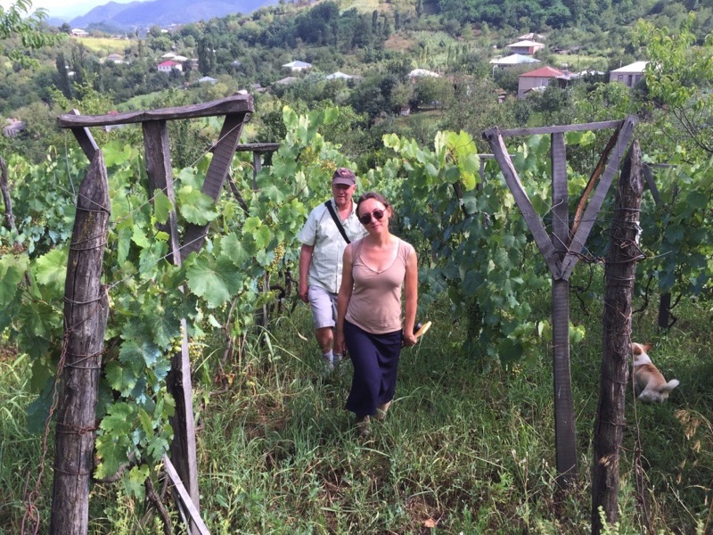  A stroll through the vineyards in Georgian wine country Photo: John Wurdeman 