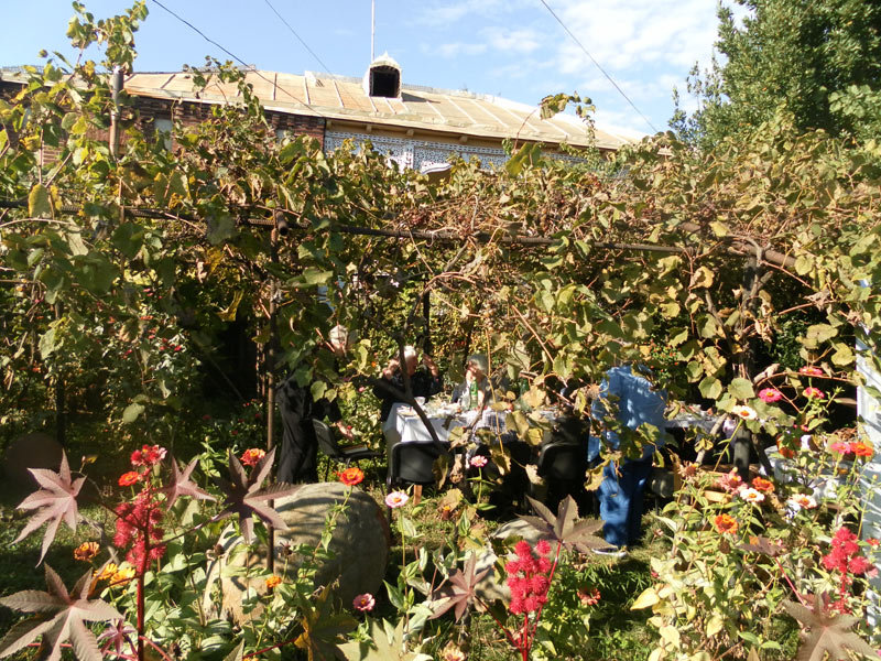  In this region, every home has a garden with grapevines Photo: Martin Klimenta 