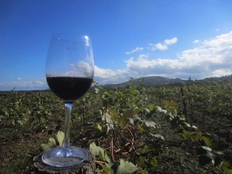  Savoring Georgian wine, straight from the source Photo: Norman Leaper 