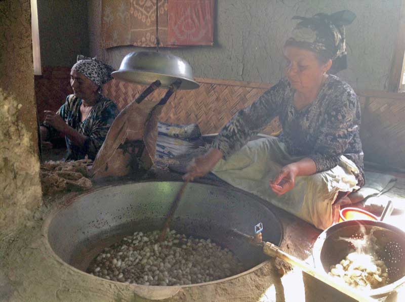   Silkworm cocoons are boiled, unraveling like spools of thread  Photo credit: Michel Behar 