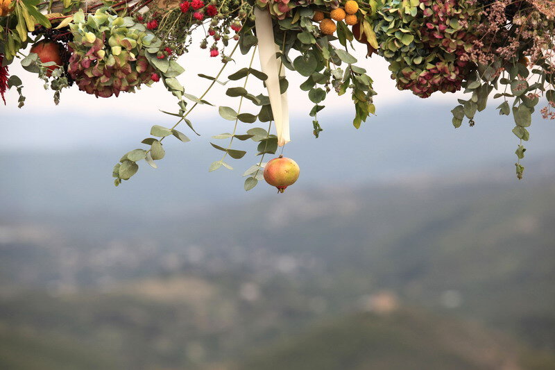 Fruit hanging at the organic orchard.