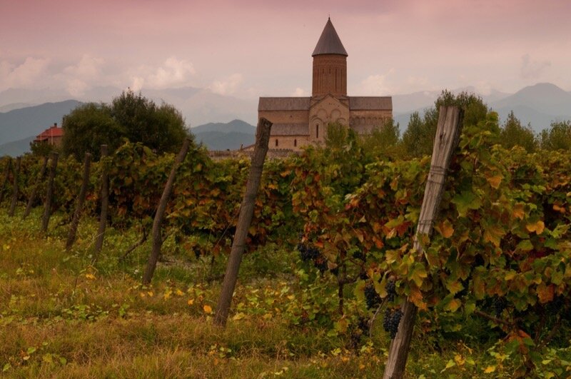 A vineyard near Alaverdi Cathedral.
