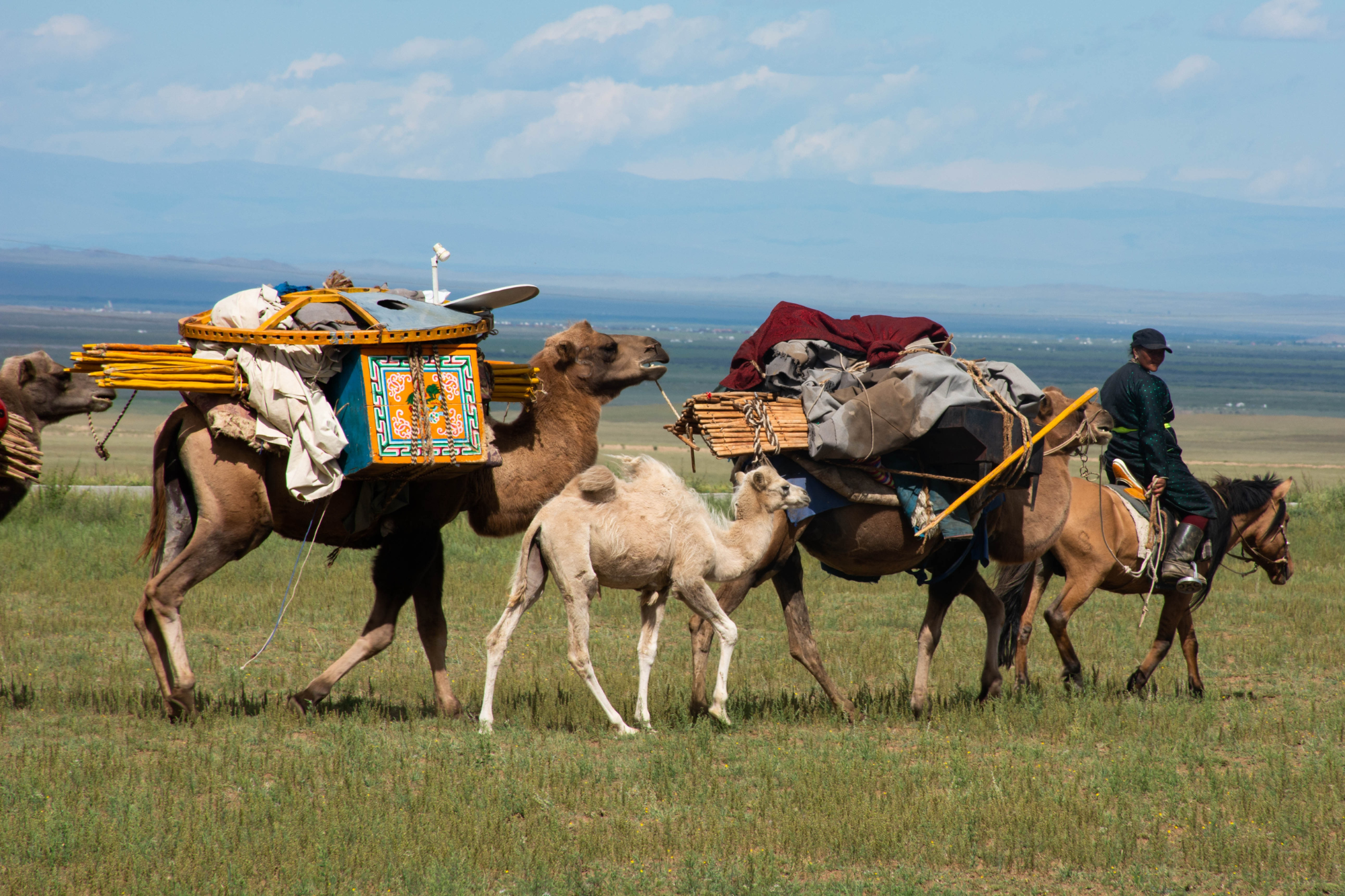Nearly 40 years of experience Off the Beaten Path Destinations