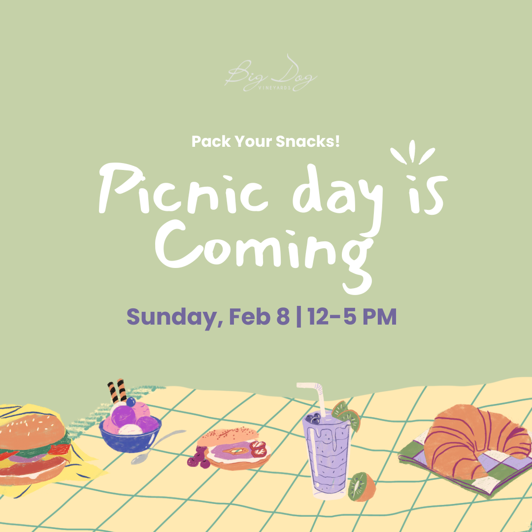 Family Picnic Sunday for the Whole Family