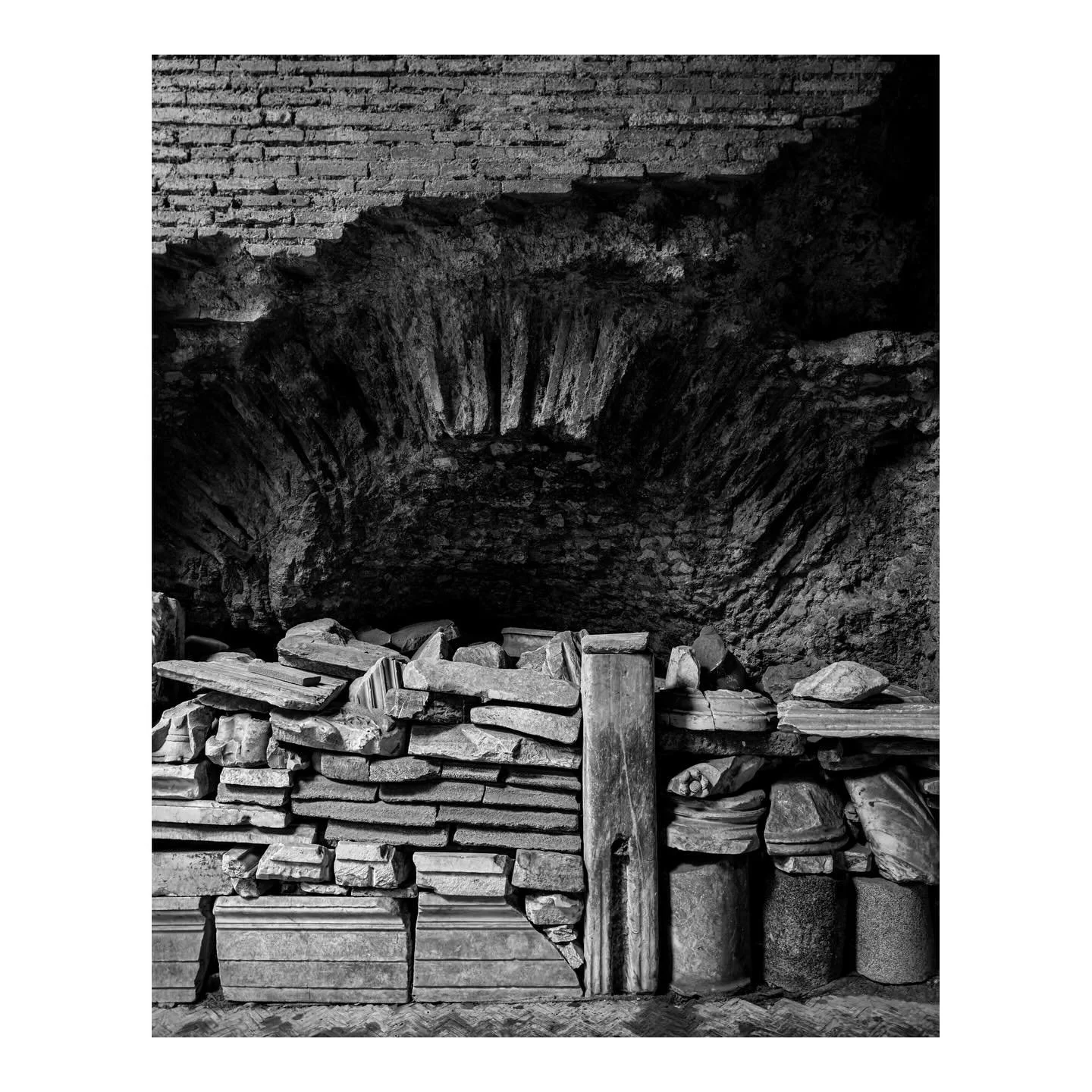 Parco archeologico del Colosseo  #parcoarcheologicodelcolosseo #roma #italy #roman