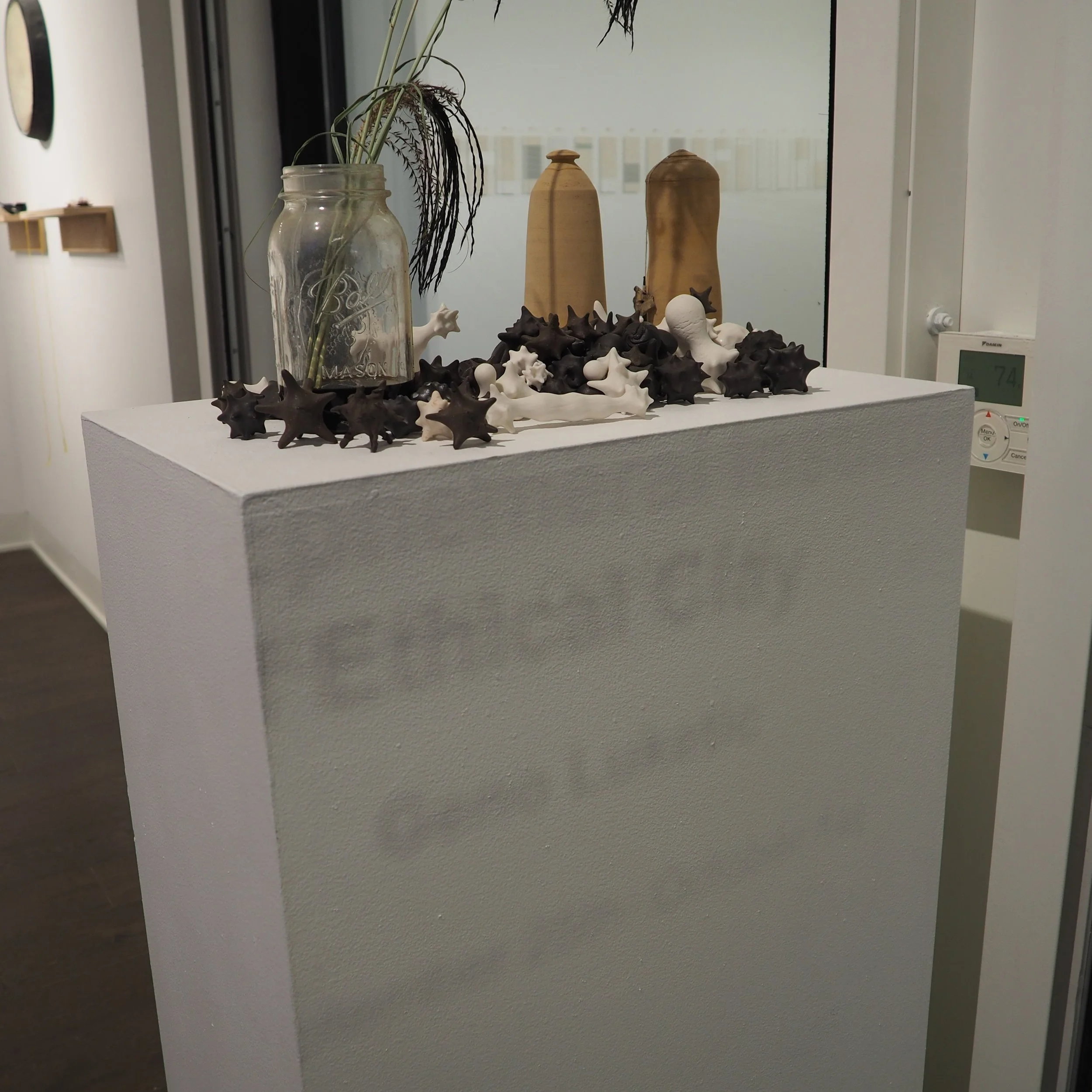 P1010518.jpg
