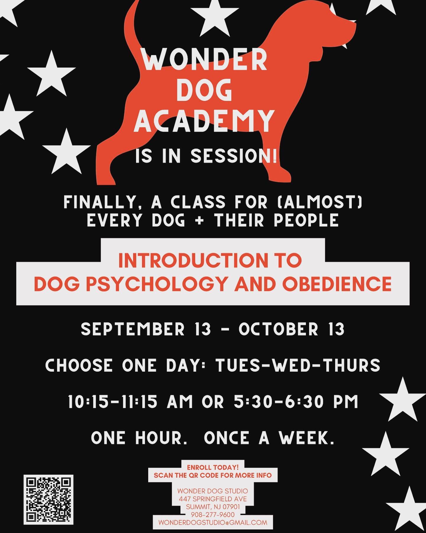 What better day to announce that tomorrow we will be begin enrollment for our first ever group training classes than #nationaldogday 
📚✏️🐶❤️🐾🐾🚌
These sessions will meet once a week for one hour. 

In that one hour, you will be captivated by what