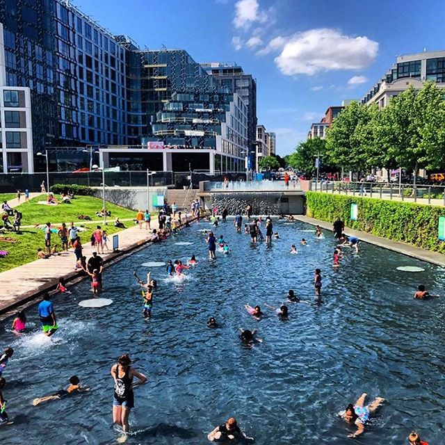 Dreaming of sunnier days 🌞🌊
.
📷 from the #202Creates feed by @wandering_dc