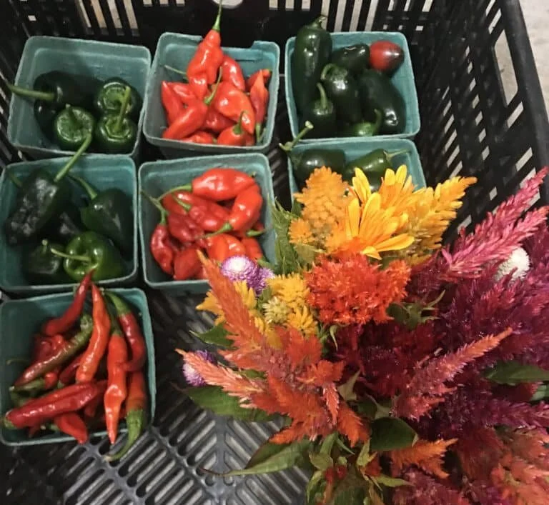 Food and Farm Fridays