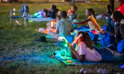 Camp Zen and Summer Movie Series