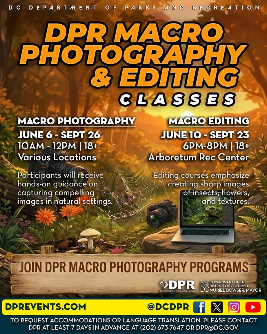 Nature Photography