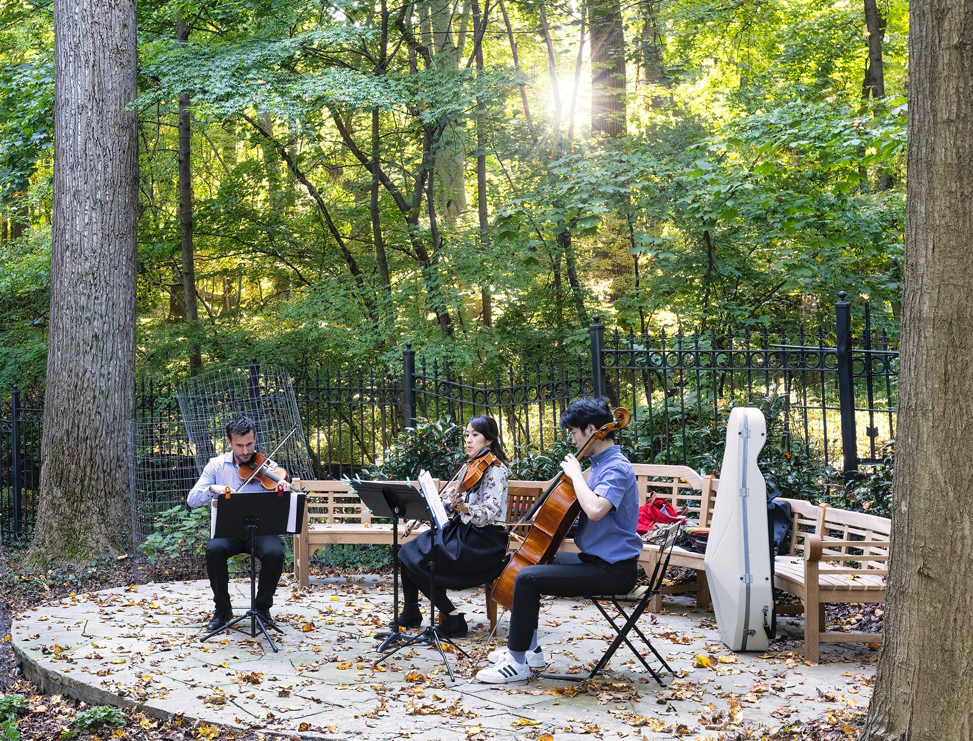 Mars Arts D.C. Tregaron Unplugged
