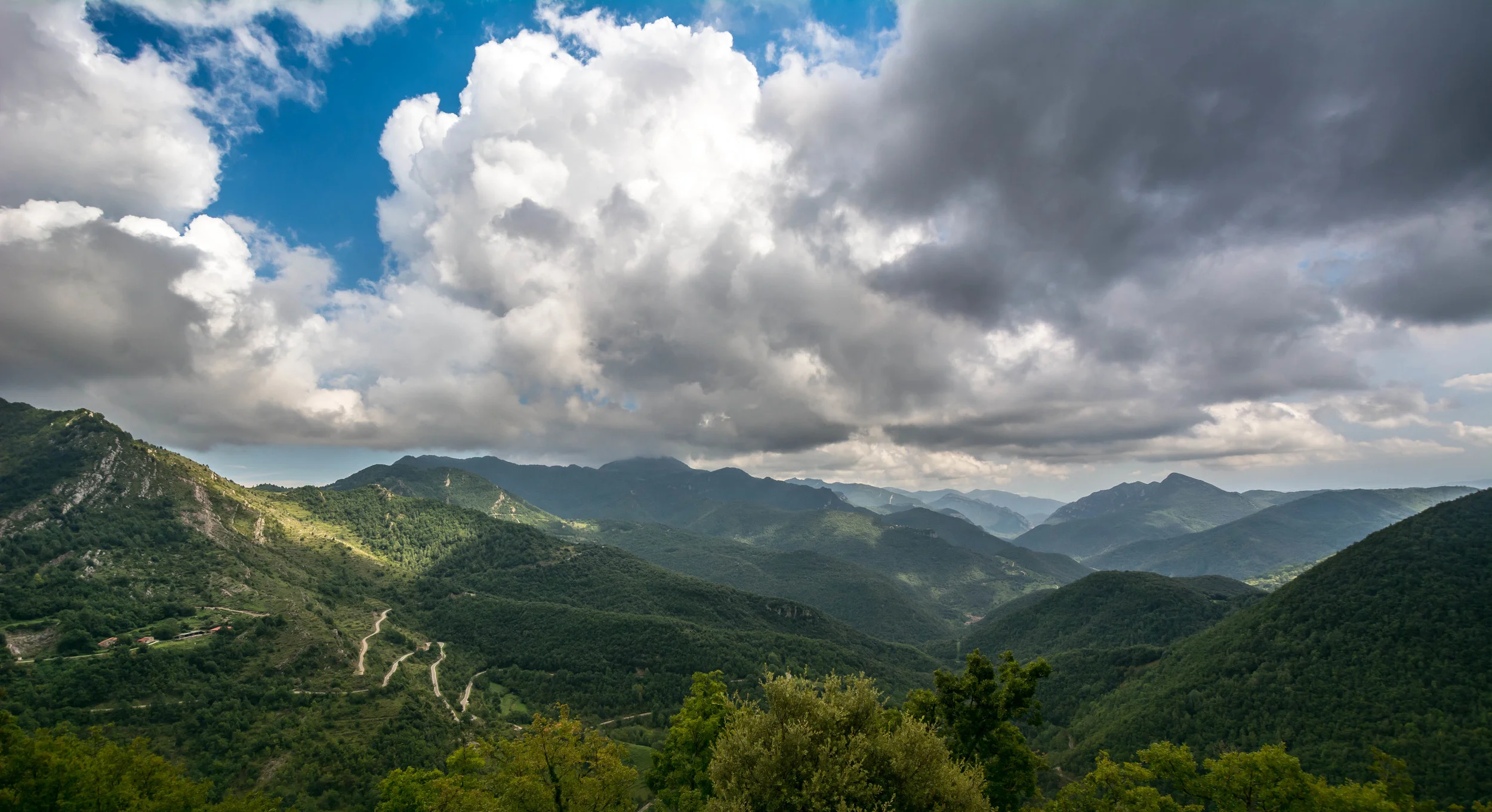 DSC_6393-4.jpg