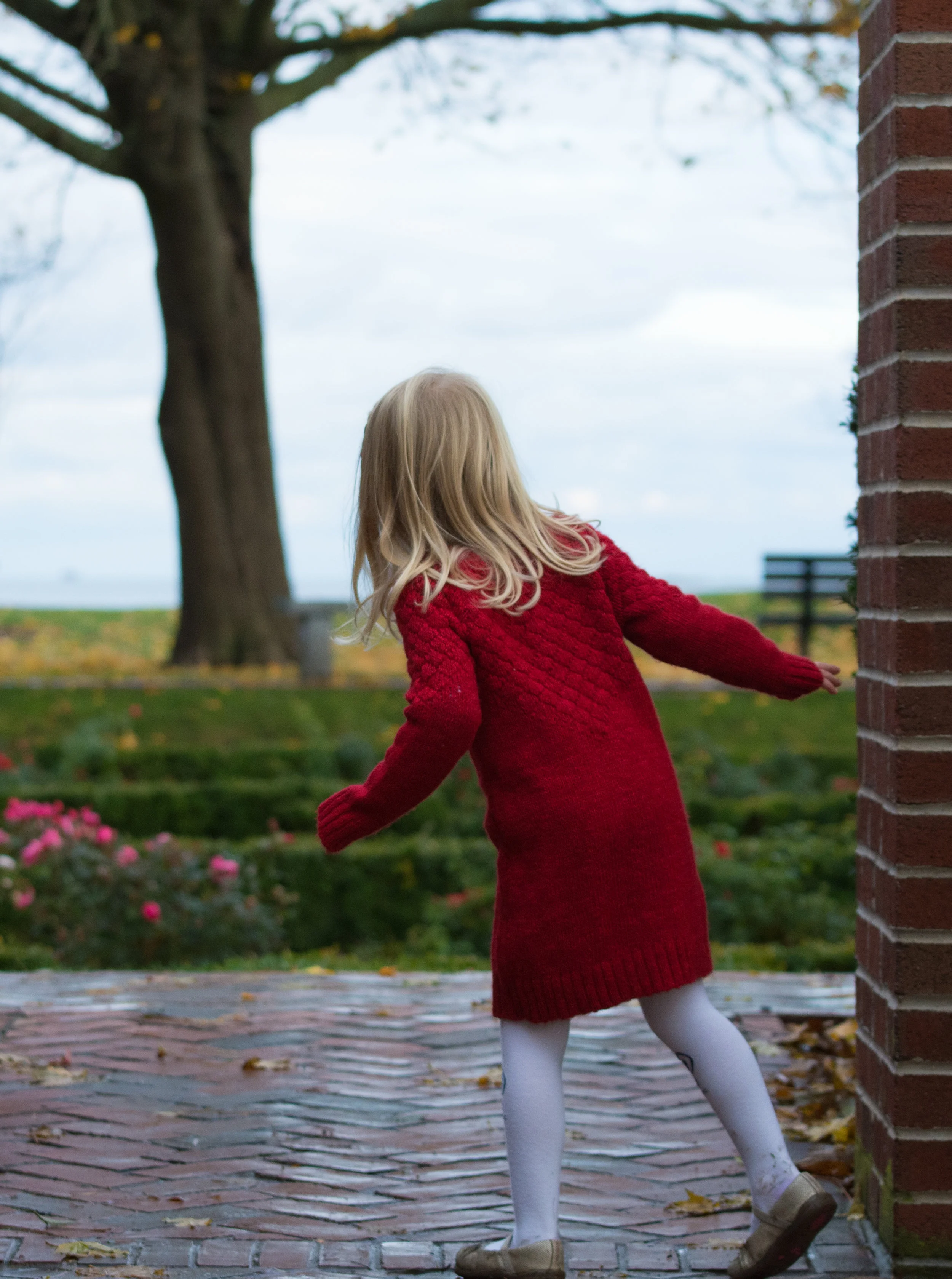 DSC_6028-Edit.jpg