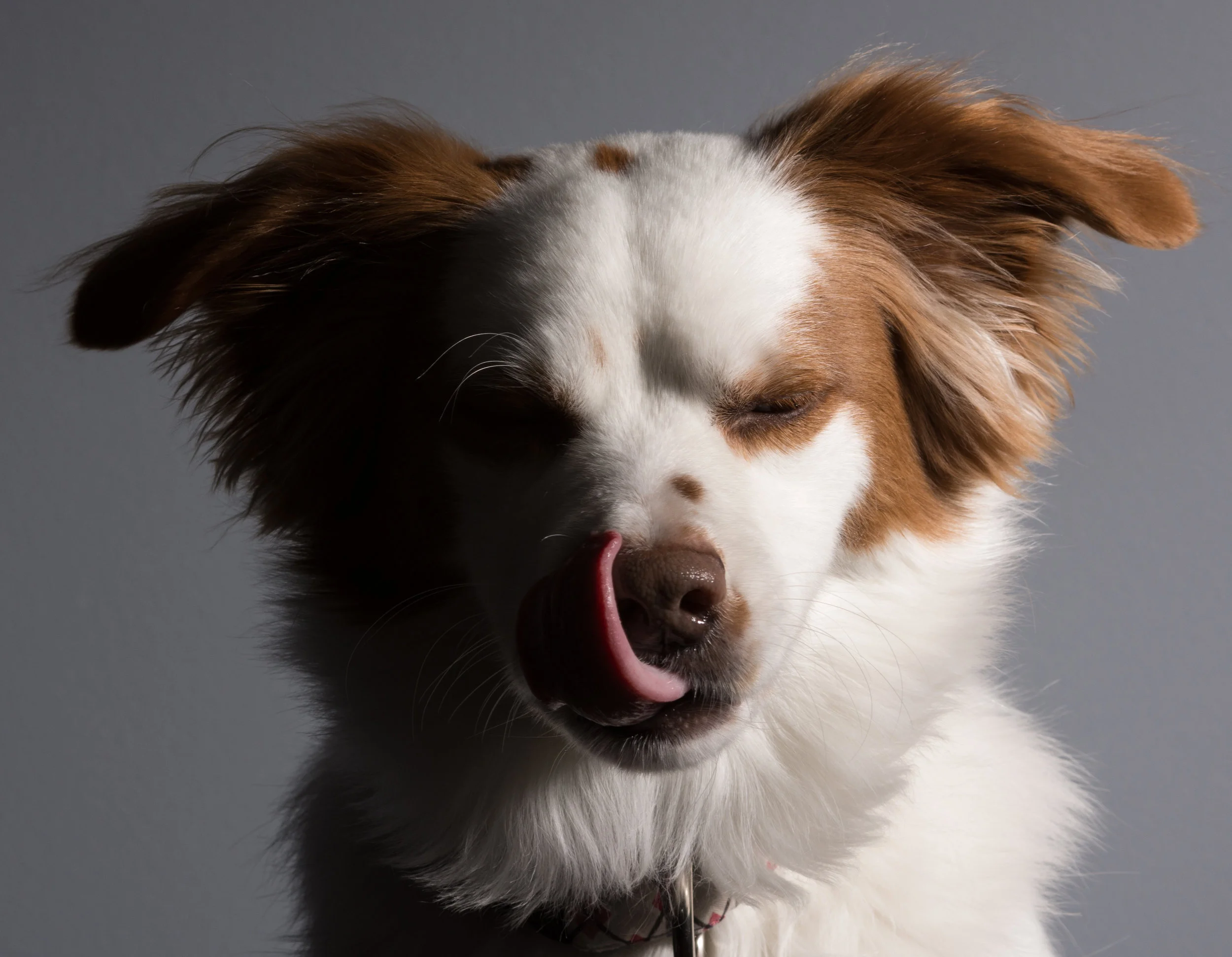 Reggie Portrait Lighting2.jpg