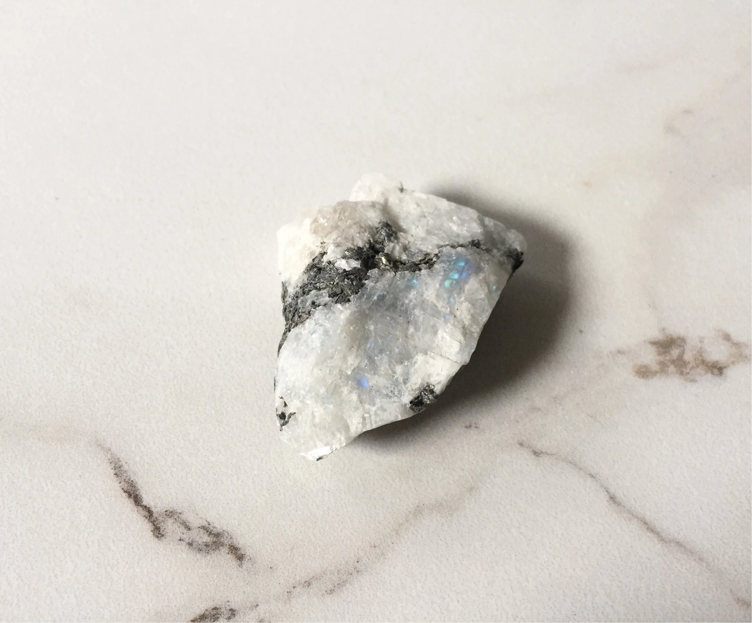 732FEC0A-A299-491A-AE2A-570460DD52A3