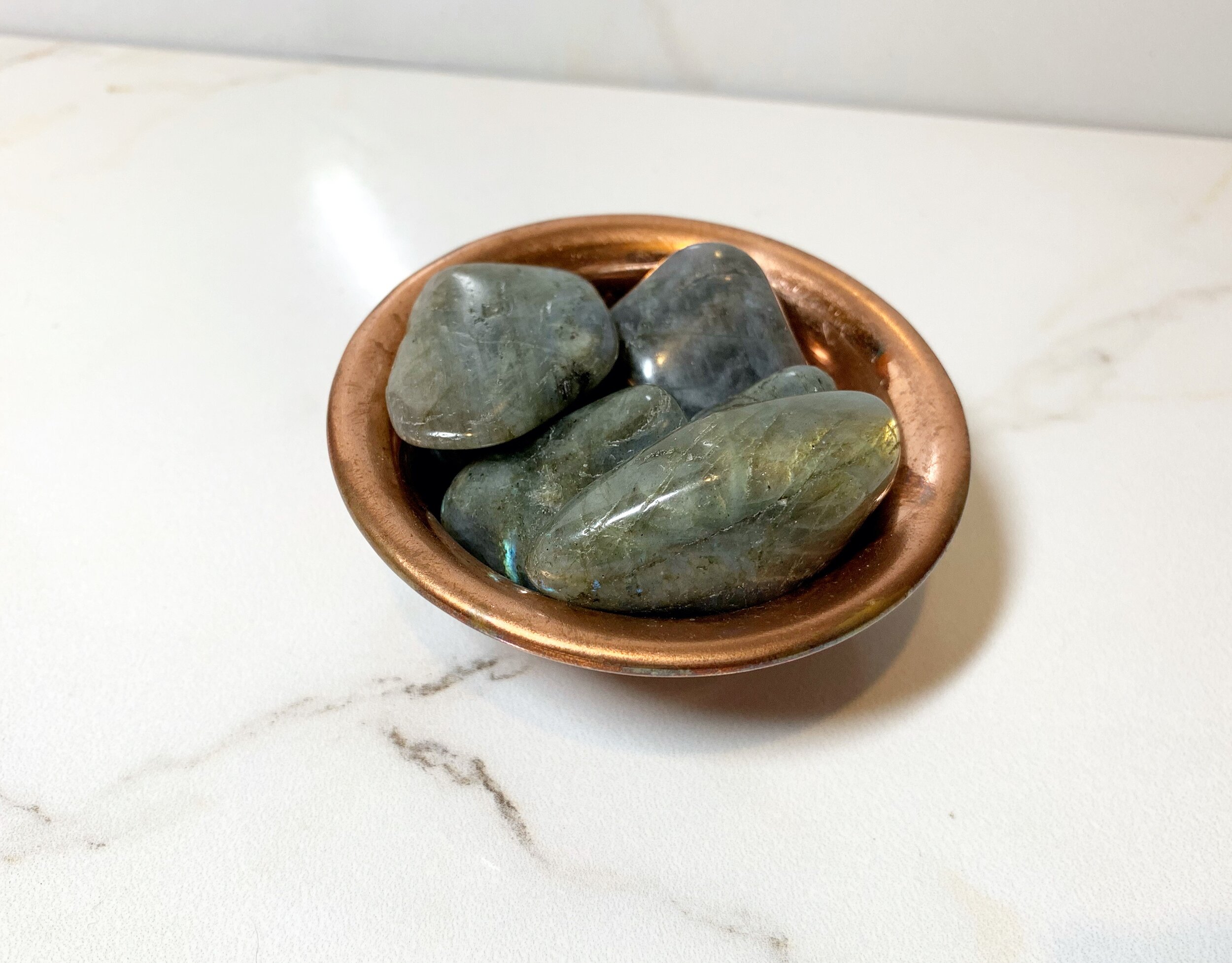 B51ECE01-46C2-46DD-8DC9-9015654852A2