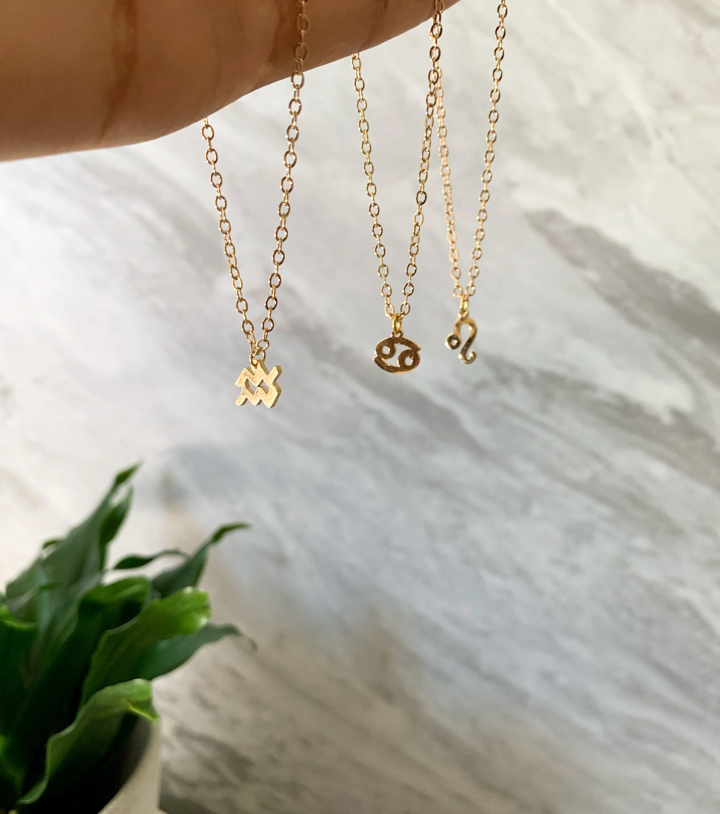 A44CF93C-8CE2-4F59-808D-61A8295078C5