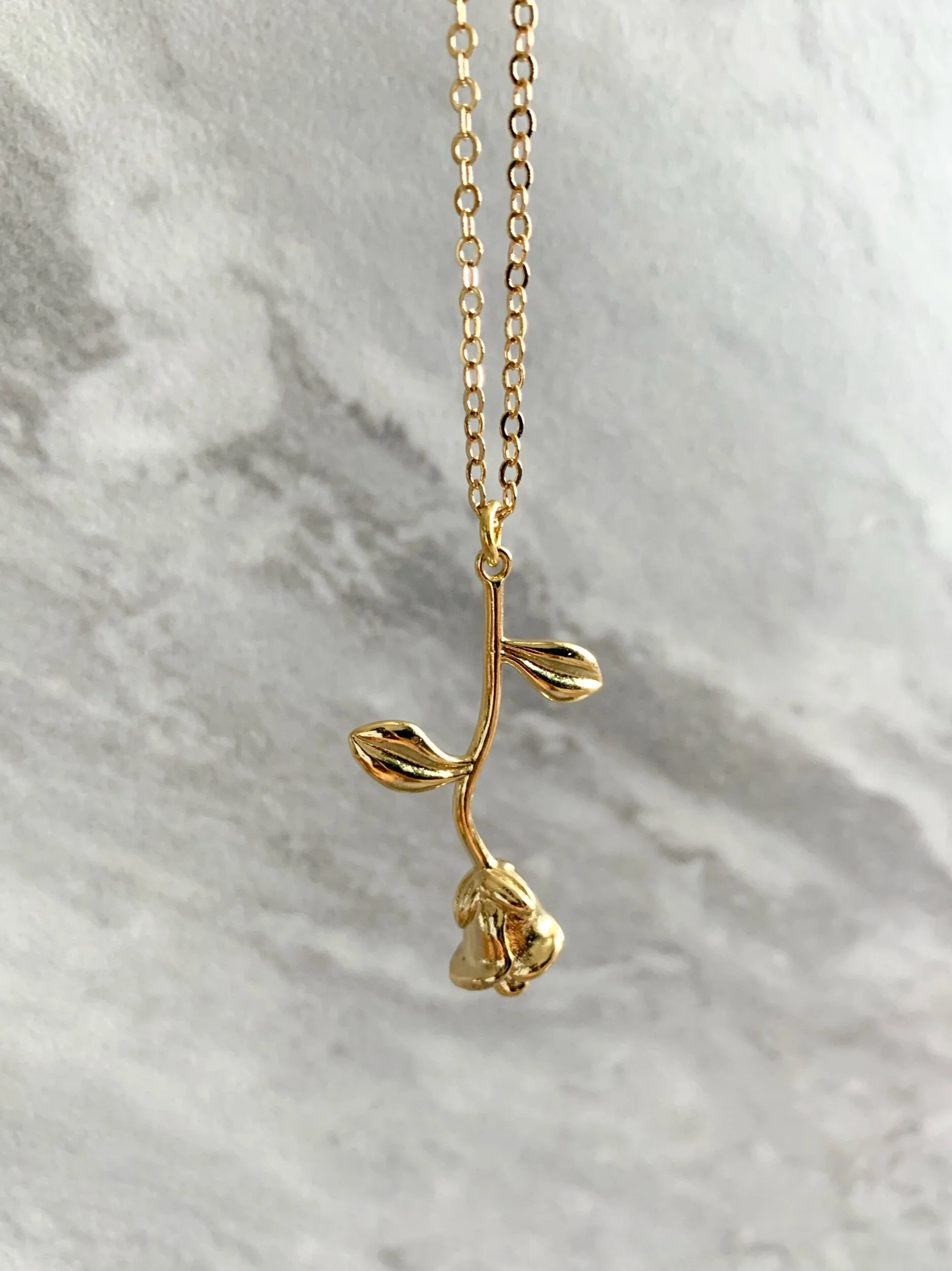 D1EC0497-5162-4AAF-B02D-16A27D0B9E92