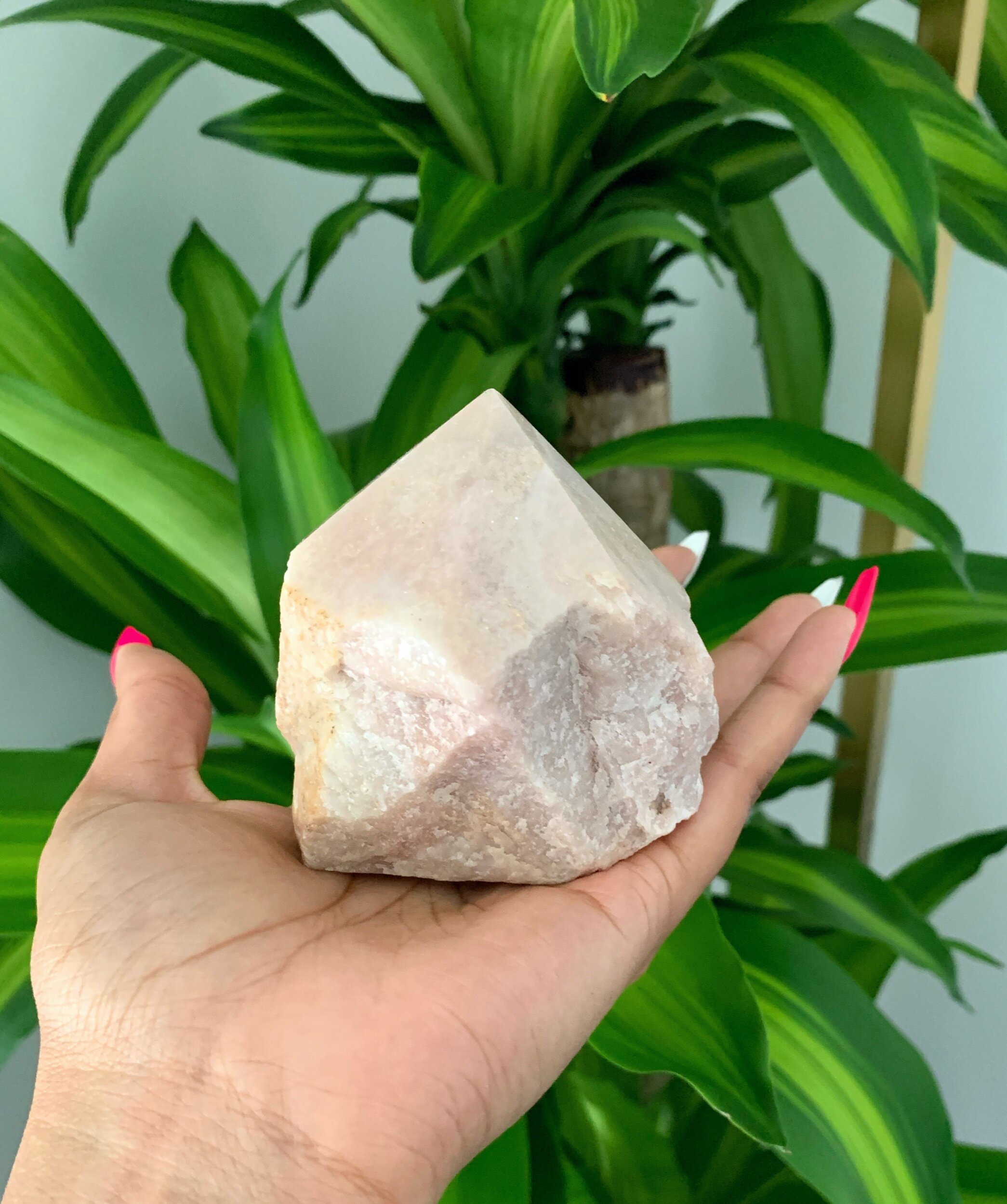 C7DB3A24-4C12-4C01-87C8-67E9482B004D